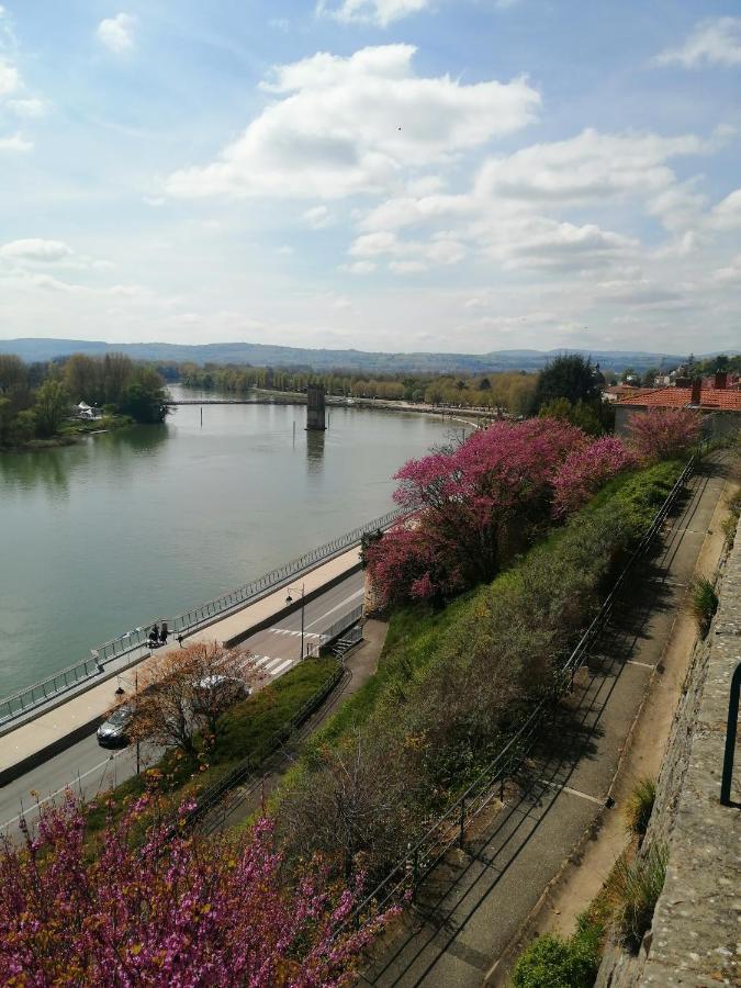 Maison "Le Figuier" Trevoux Climatisee מראה חיצוני תמונה